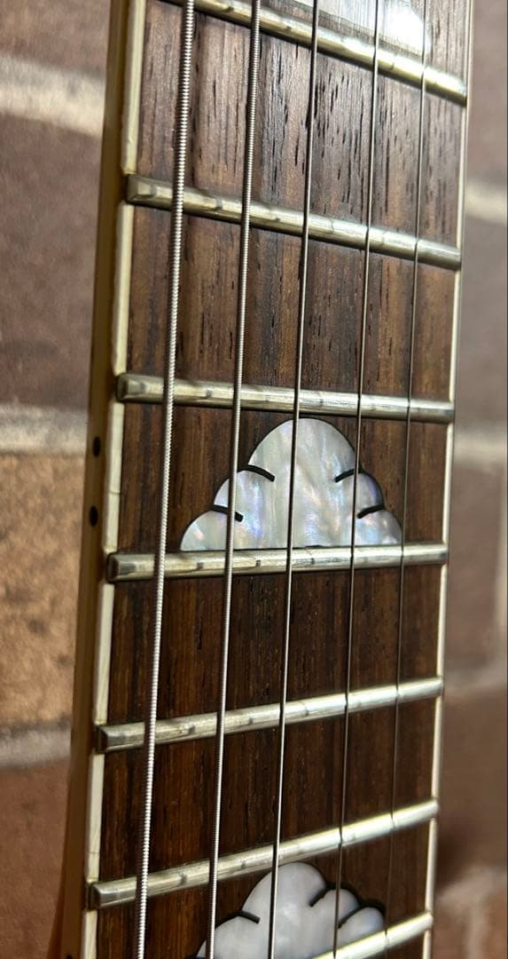 和竜様　　　　ネックはBurny。コンポーネント　hideモデル風