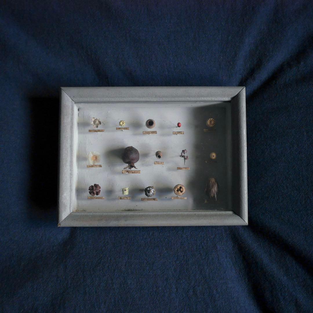 西別府久幸 「森のオトシモノ」