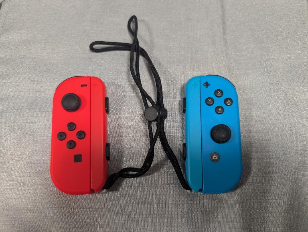 Nintendo Switch HAC-001/Joy-Con2本/ドッグなど