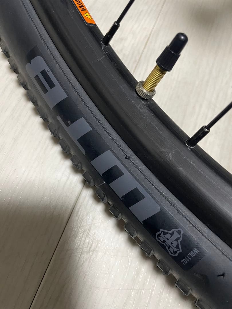 WTBタイヤ&ホイールセット