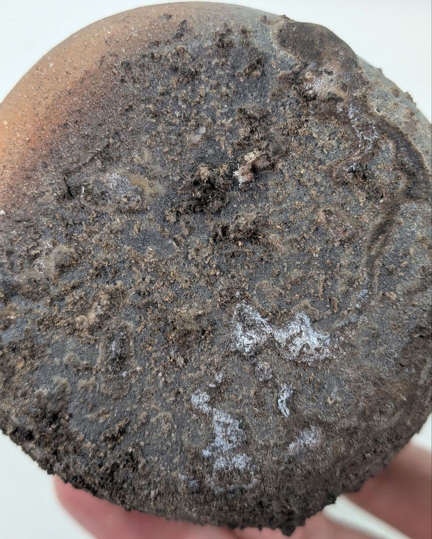 難波正己 備前焼 窯変徳利 共箱栞 酒器 食器 とっくり 一輪挿し花入 花器