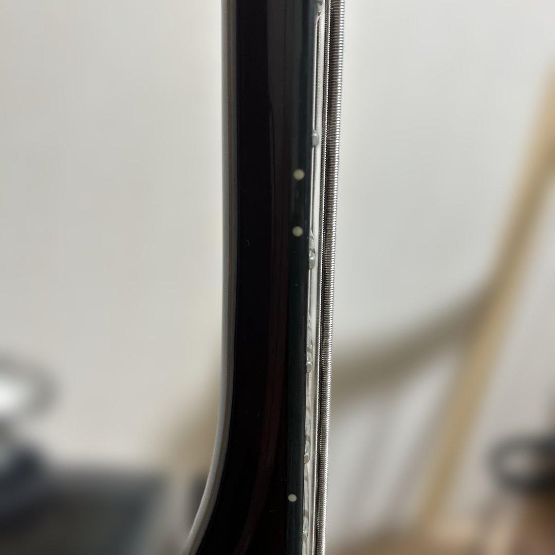 Schecter Hellraiser AD-C-4-HR スルーネック 保証書