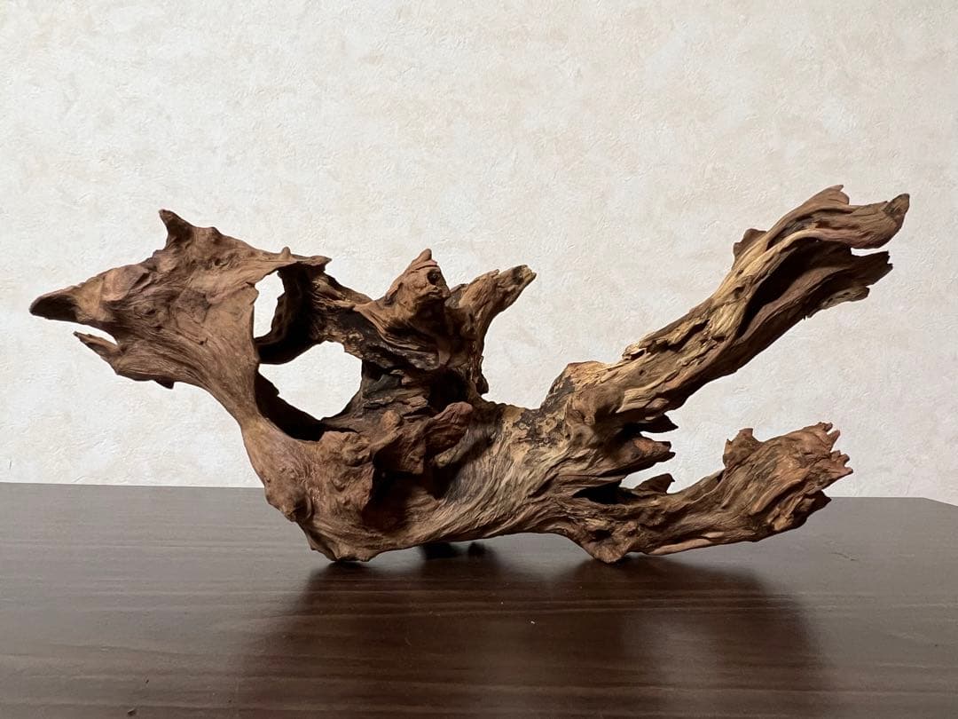 HX-003 流木　ホーンウッド　マシンガンウッド　アクアリウム　ブランチウッド