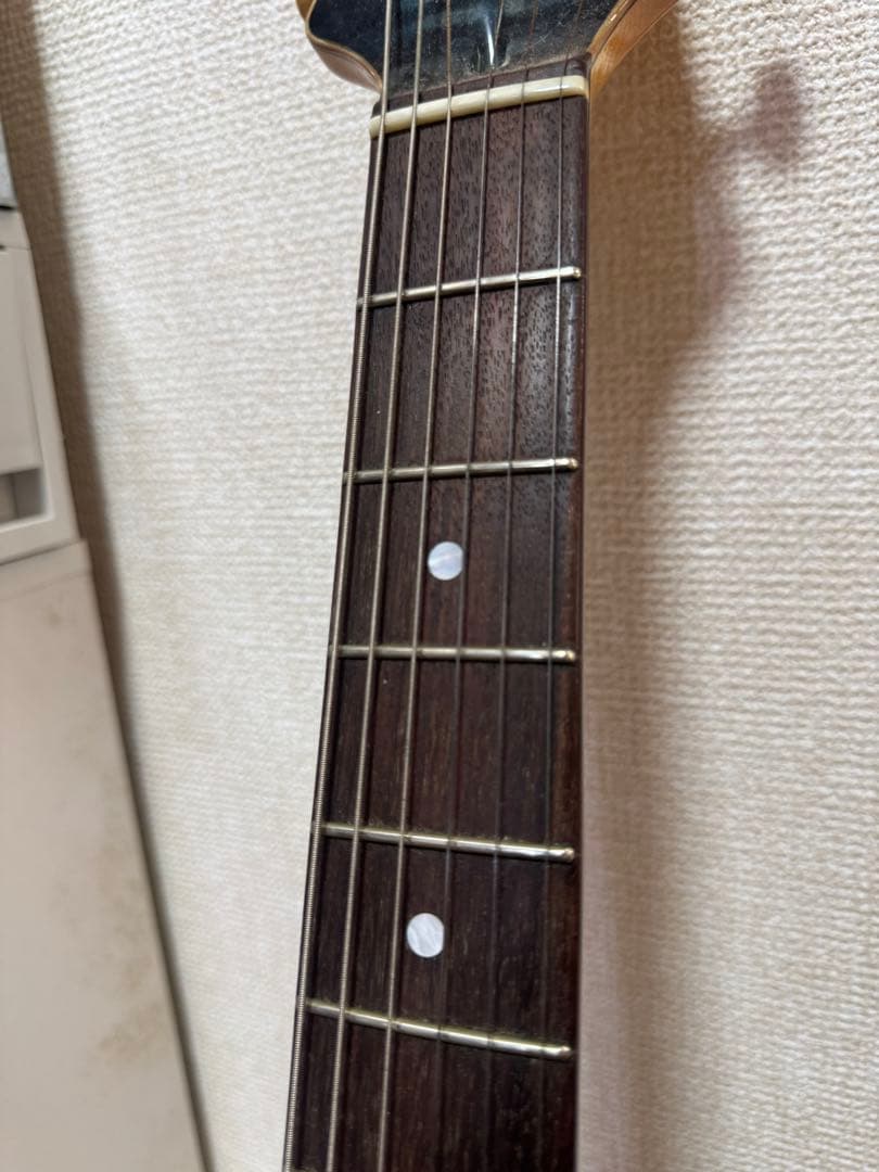 Sugi guitars DS496 IR オリジナルセミハード付き