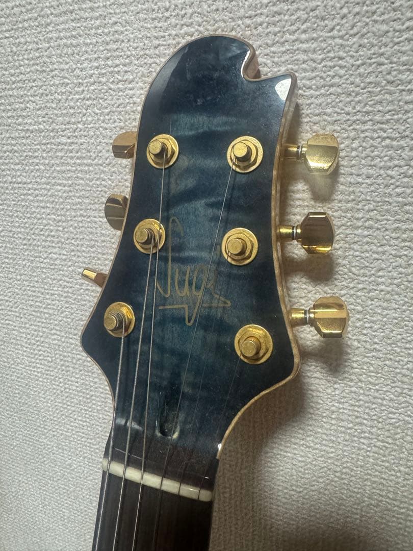 Sugi guitars DS496 IR オリジナルセミハード付き