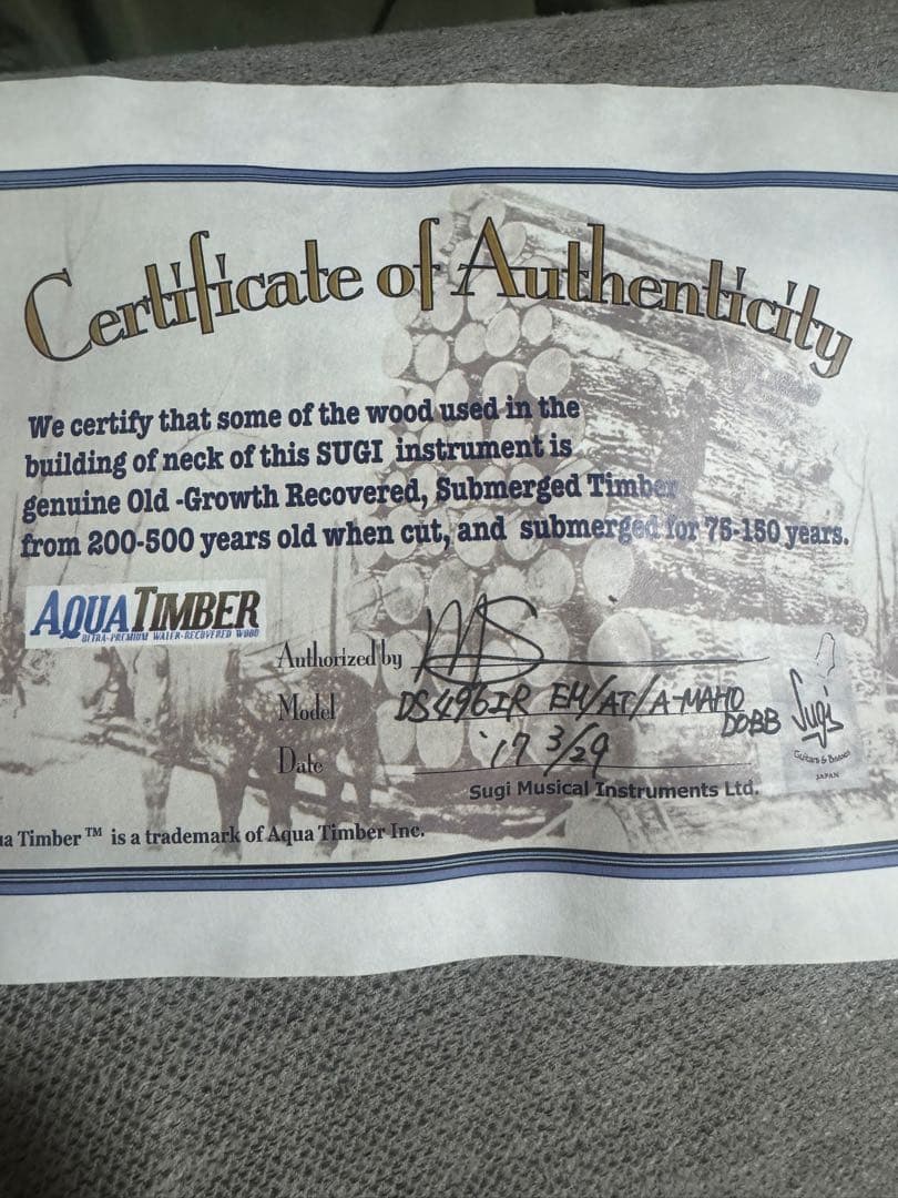 Sugi guitars DS496 IR オリジナルセミハード付き