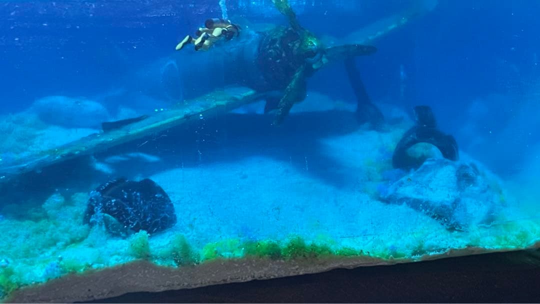 珊瑚の海に眠る零戦　レジン　ジオラマ