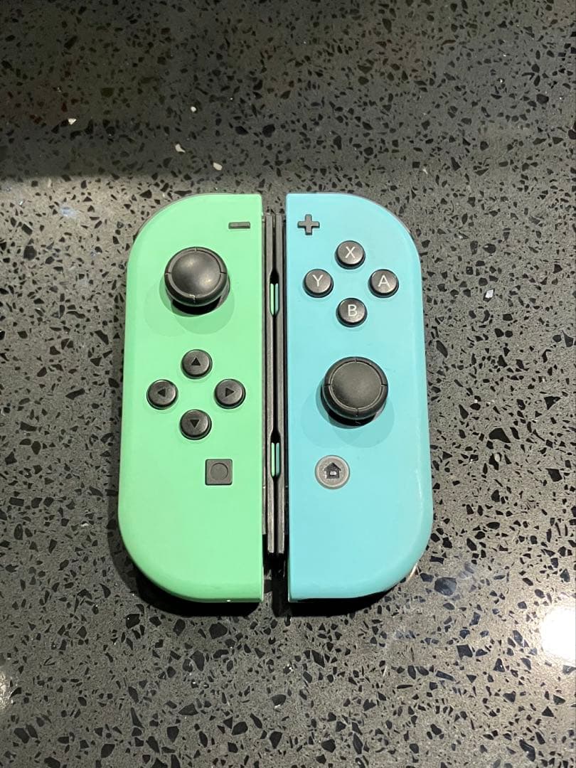 Nintendo Switch あつまれどうぶつの森 本体 任天堂