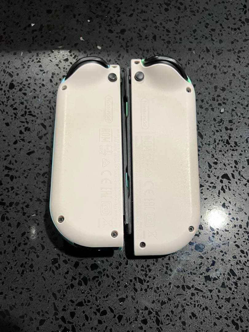 Nintendo Switch あつまれどうぶつの森 本体 任天堂