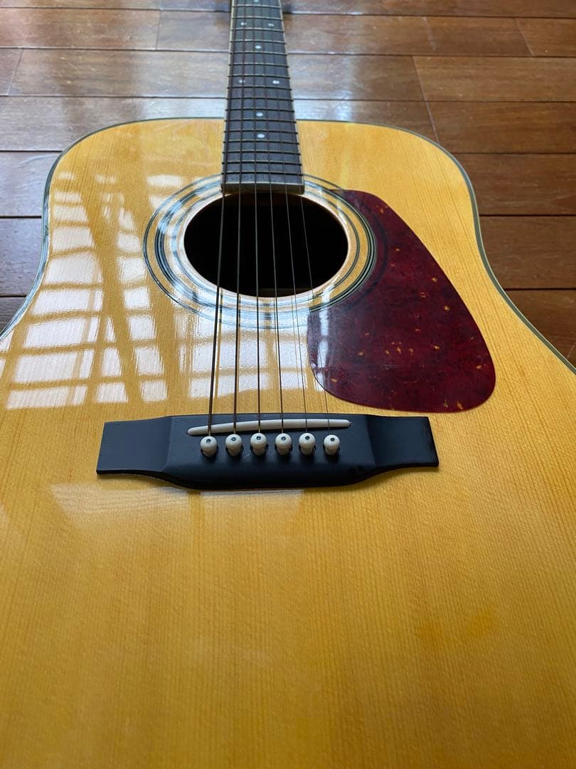 Morris MD-507N アコースティックギター