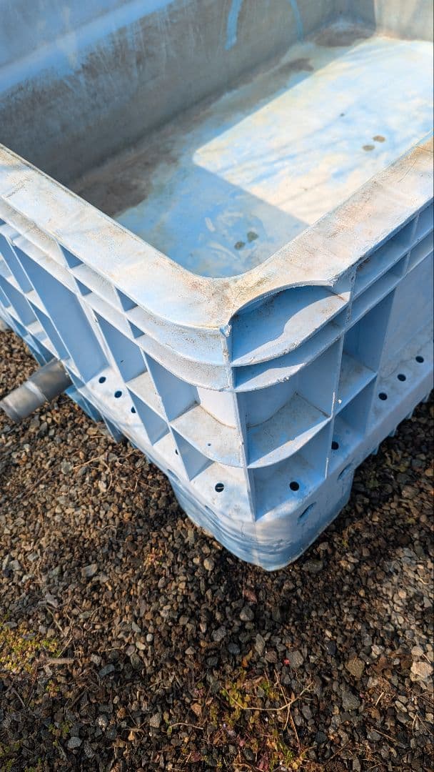 中古大型プラスチック水槽 コンテナ水槽 錦鯉 金魚