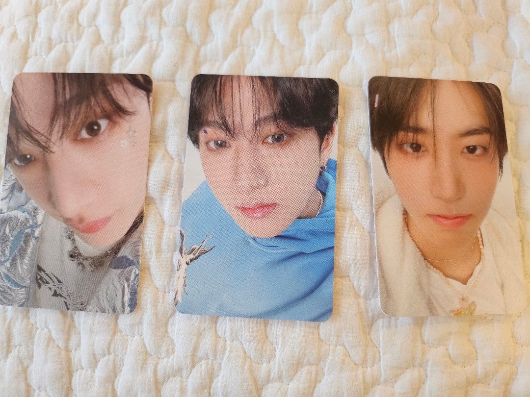 SKZOO ぬいぐるみ HAN QUOKKA テディベア