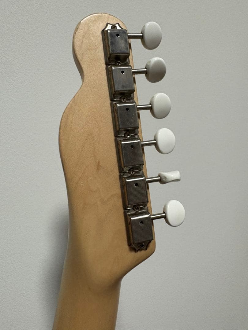 Psychederhythm Standard-T テレキャスター