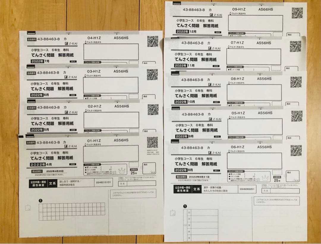 Z会 エブリスタディ 小6 公立中高一貫適性検査&作文　他