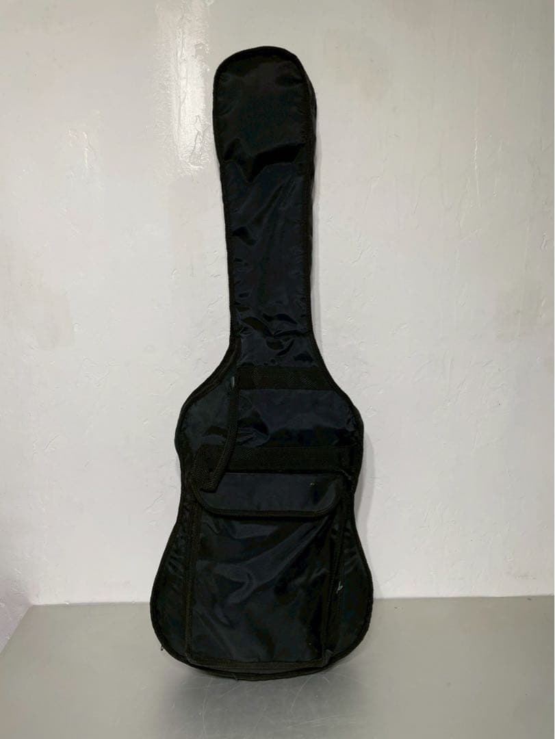 Aria AMB-35S エレアコ ギター 希少 サイン入り