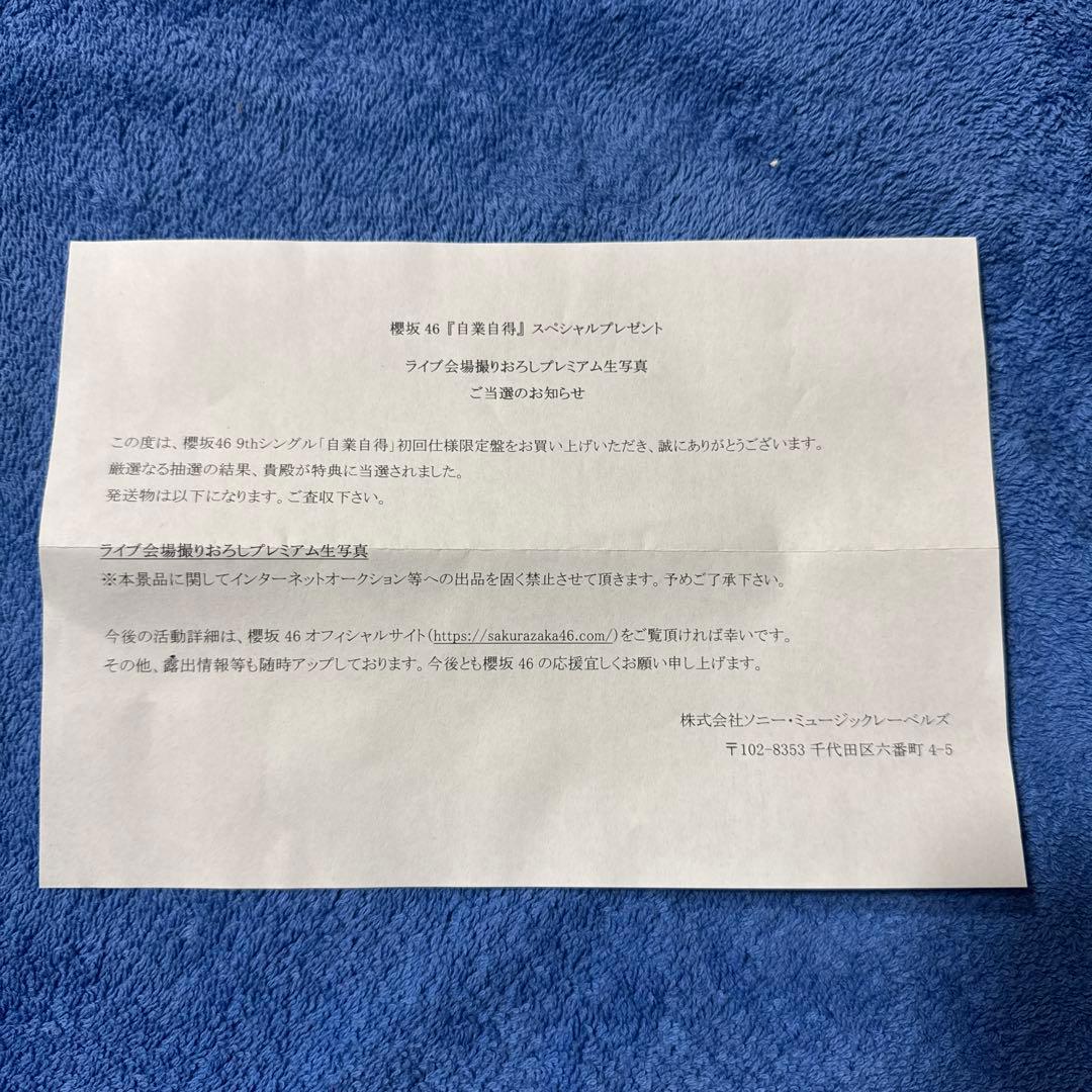 櫻坂46 向井純葉東京ドーム撮り下ろしプレミアム生写真　　おまけあり
