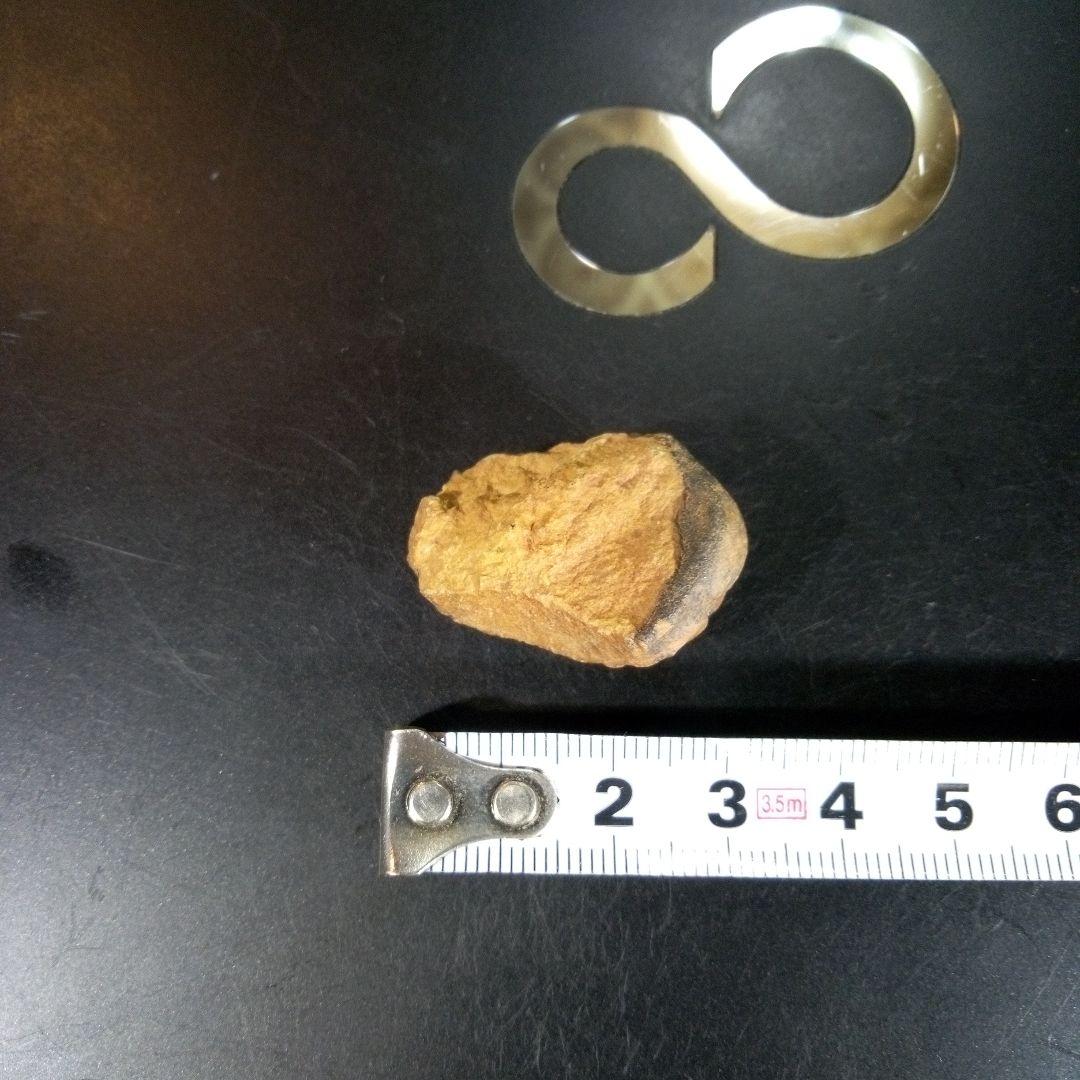 三葉虫　化石　fossil　海　ボリビア産　trilobite　海生動物種別③