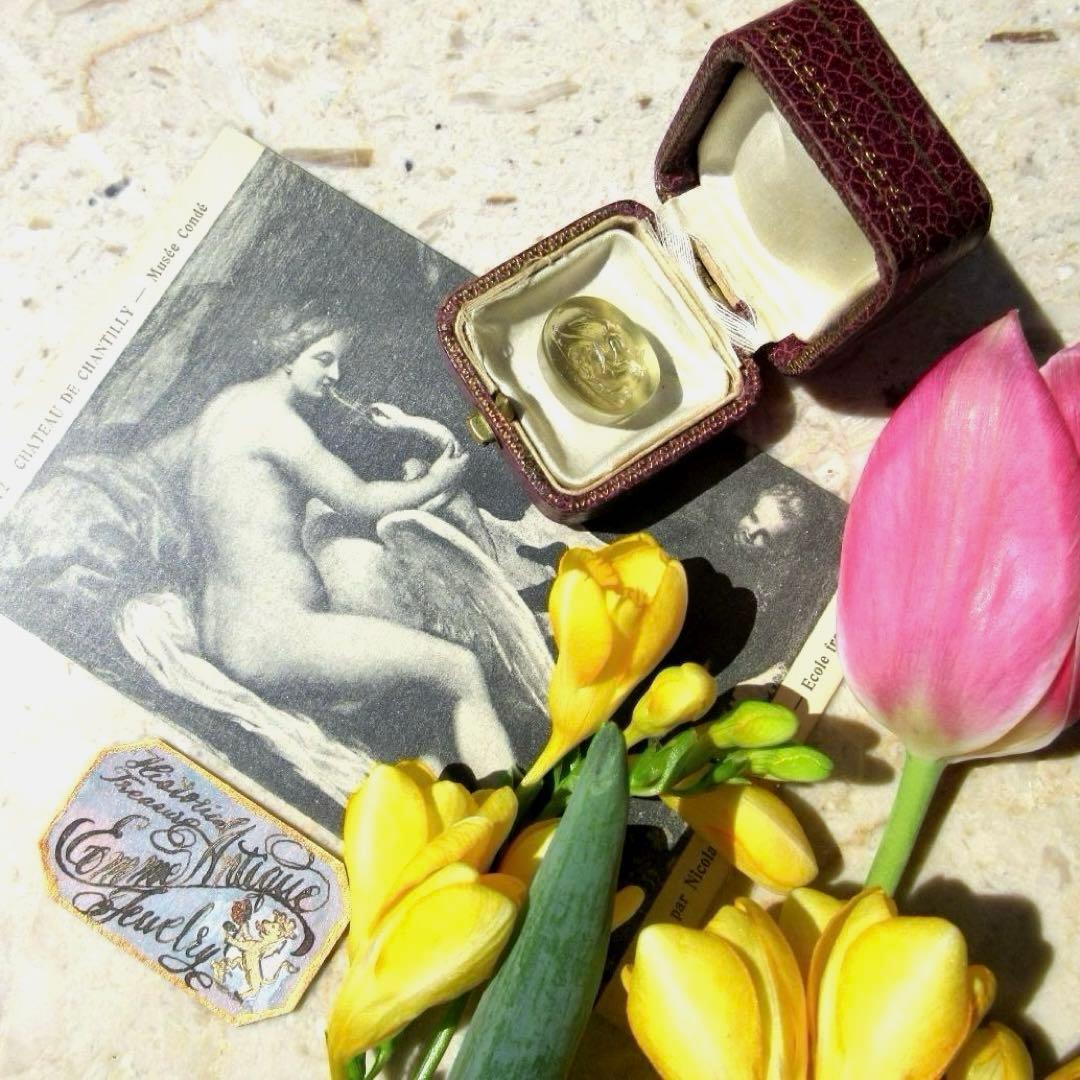 レダとスワン ଓ✧*１８世紀:☪︎✧*グランドツアー:+*ガラスシール⋆.✰