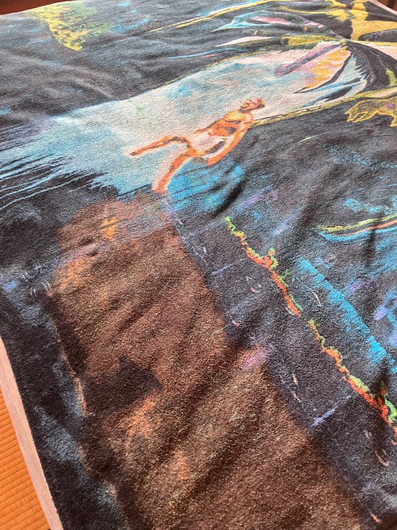 Peter Doig ピーター・ドイグ　ビーチタオル