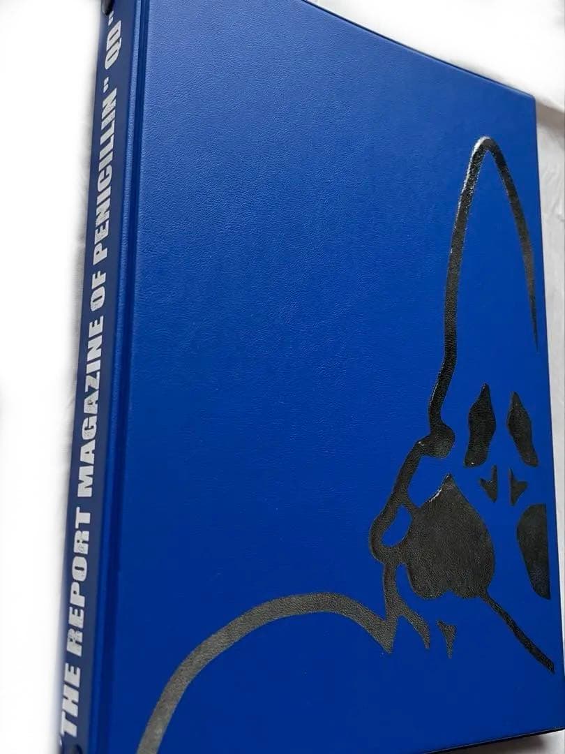 【 超希少 HAKUEIMAN タオル 】その他CD、会報、サイン多数グッズ！！