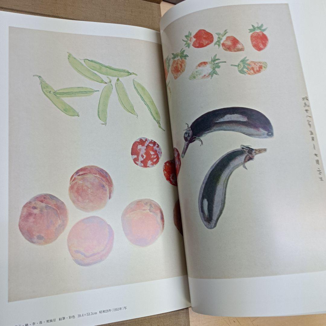 m010807fk 福田平八郎 作品と素描 全二巻揃 光村図書