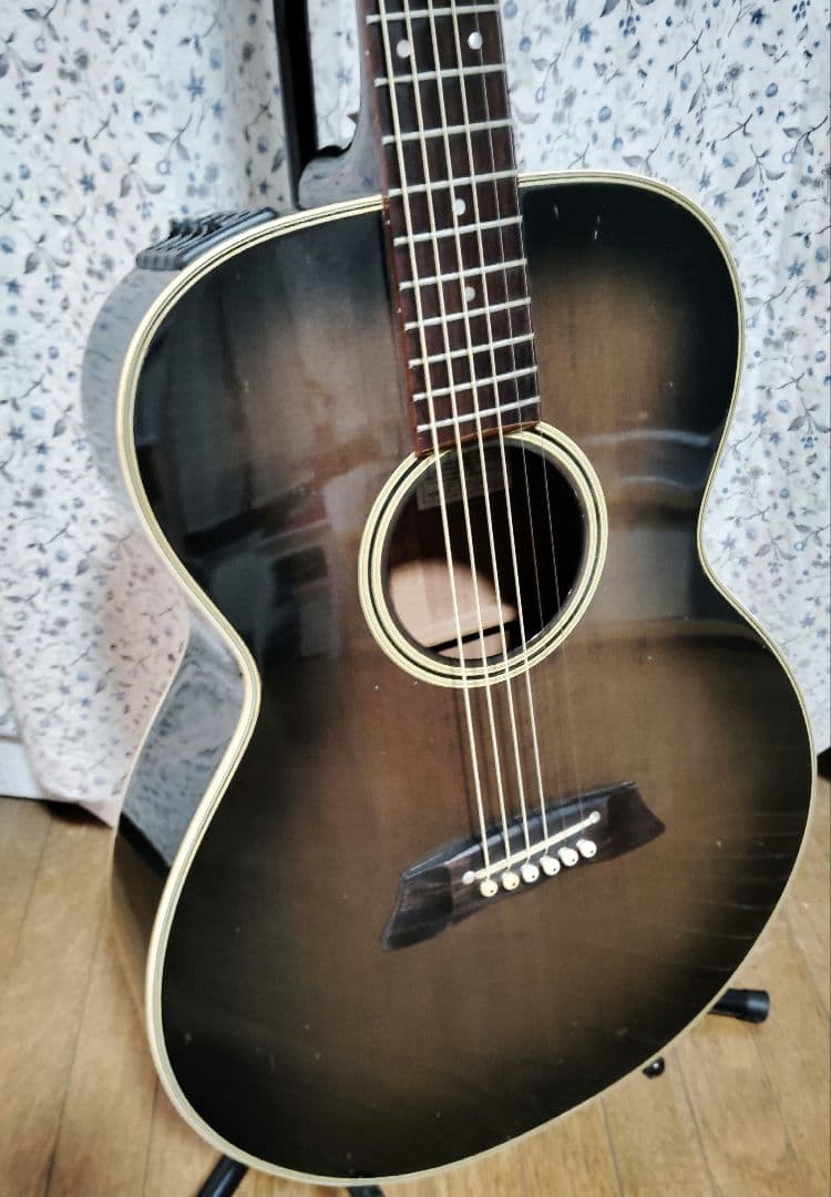 エレアコ Takamine PT-105 アコースティックギター
