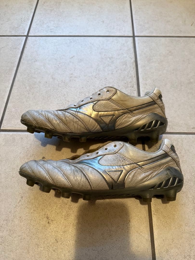 モレリアDNA 26㎝