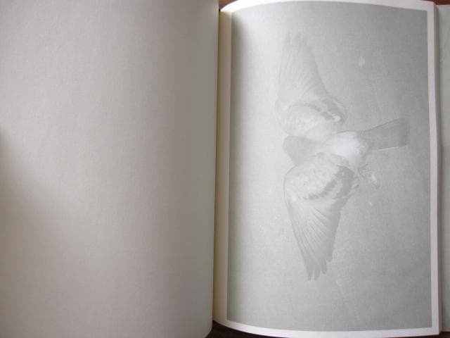 Light、Night　Ola Rindal　限定333部　直筆サイン入り