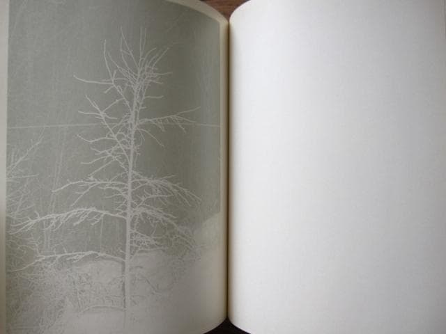 Light、Night　Ola Rindal　限定333部　直筆サイン入り