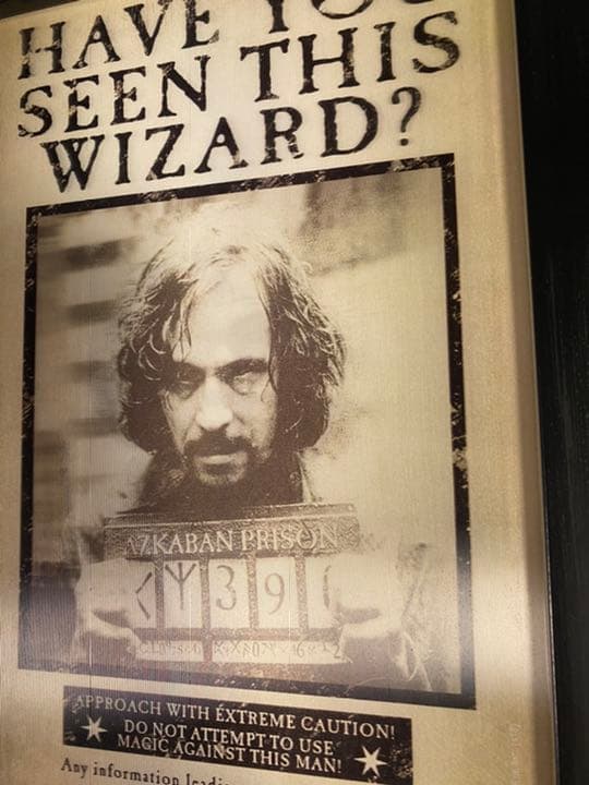 シリウスブラック　指名手配レティキュラー