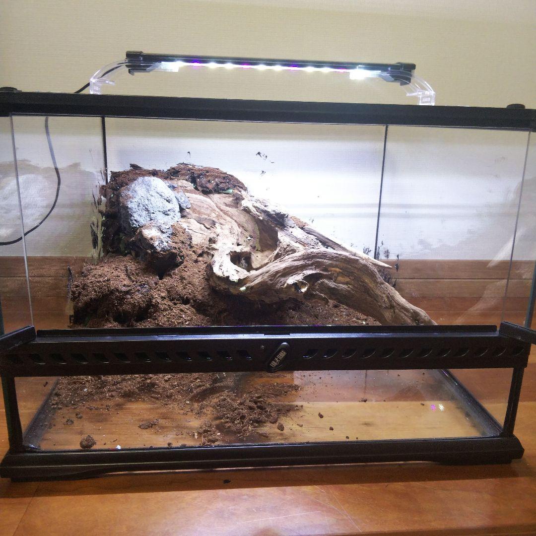 【受注生産】爬虫類飼育ケージ　テラリウム　ビバリウム