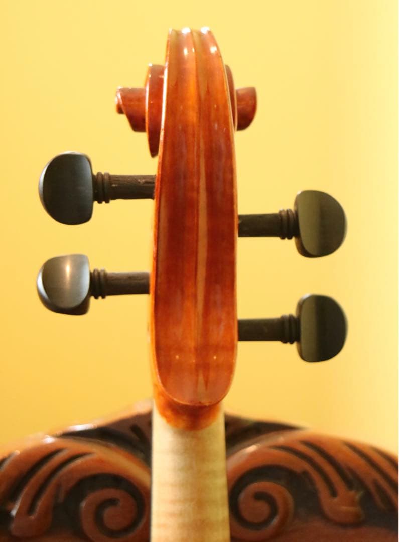 【みみちゃん】ビオラ 15.5 Gliga Gems Anno 2022