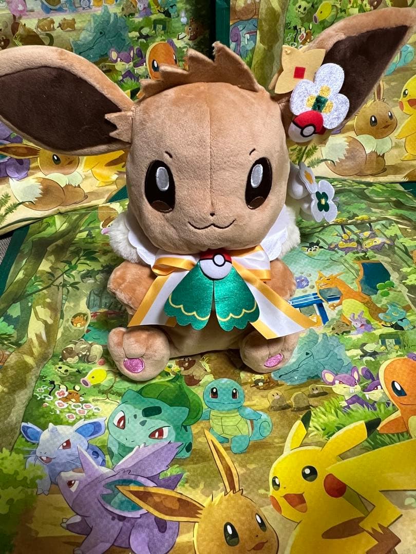 ポケパークカントー　 ショップ　限定 イーブイ　ぬいぐるみ5体セット