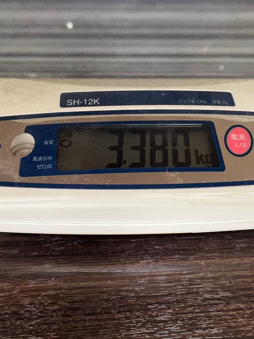 ※真作 中島千波 ジクレー 坪井の枝垂れ桜 額装 直筆サイン