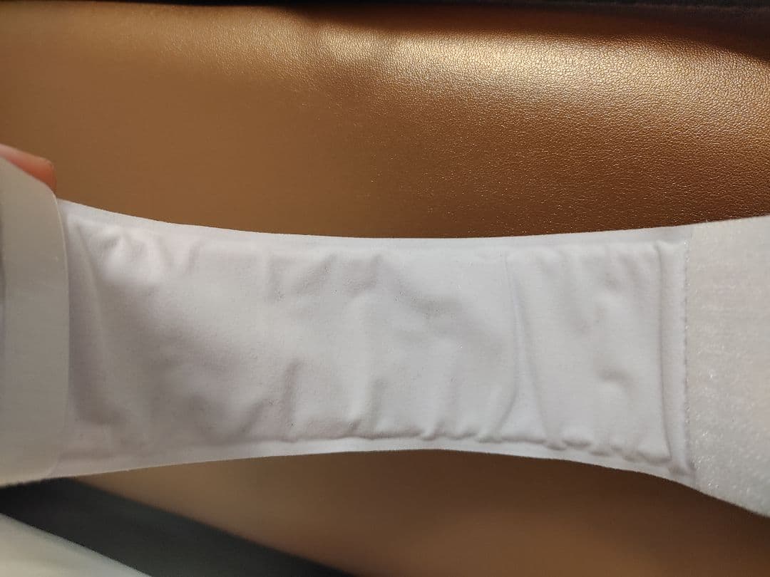 ゼンジン未到とヴェルトラウム ライトバンド