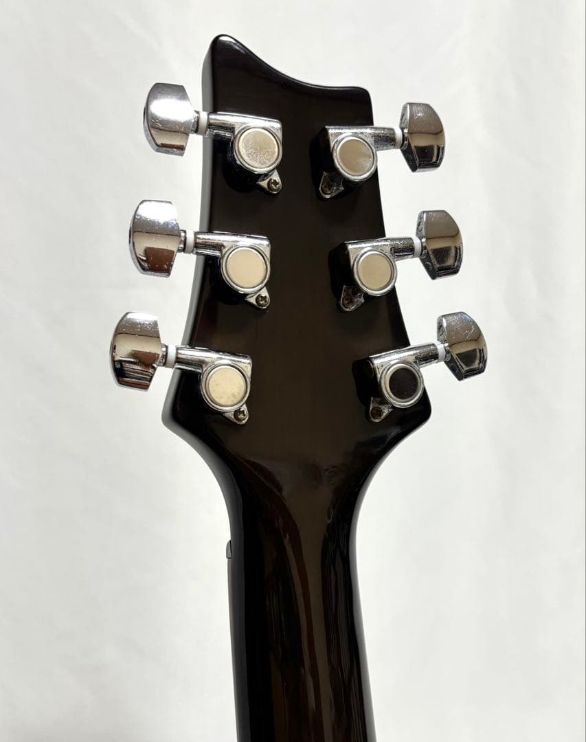 【新品弦張替済】Tony Smith エレキギター PRSタイプ 24フレット