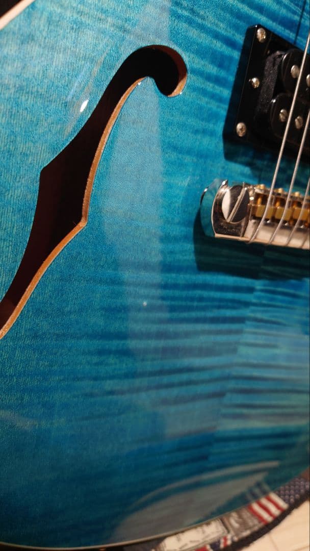 PRS ZACH MYERS シグネチャーモデル