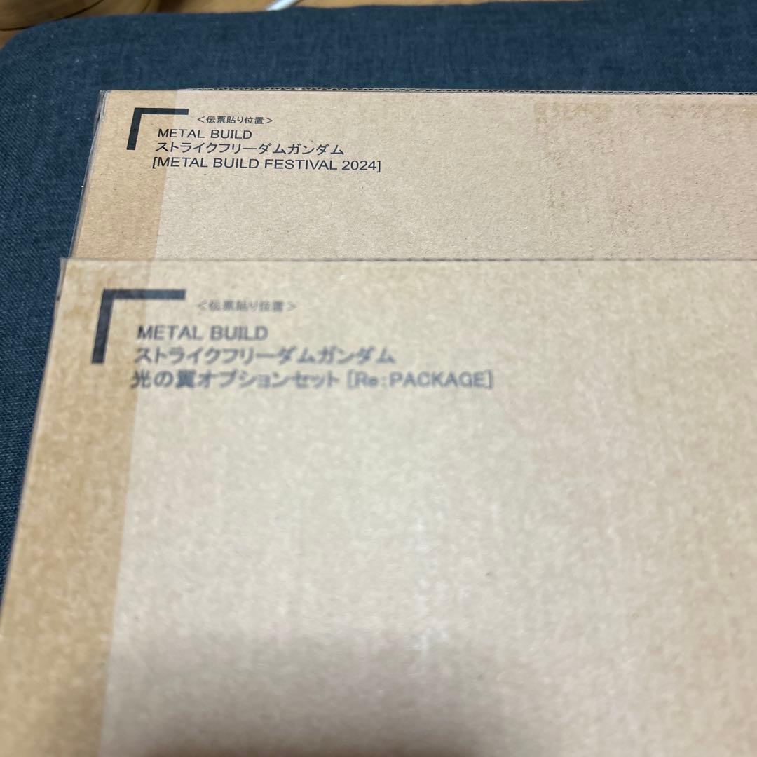 メタルビルド　ストライクフリーダム2024、光の翼