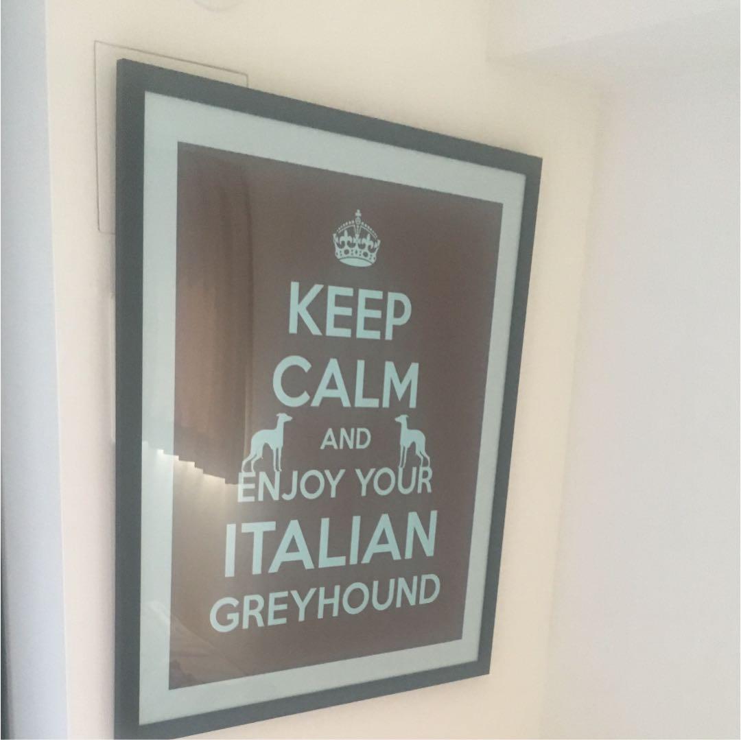 ポスター イタグレ 値下げしました