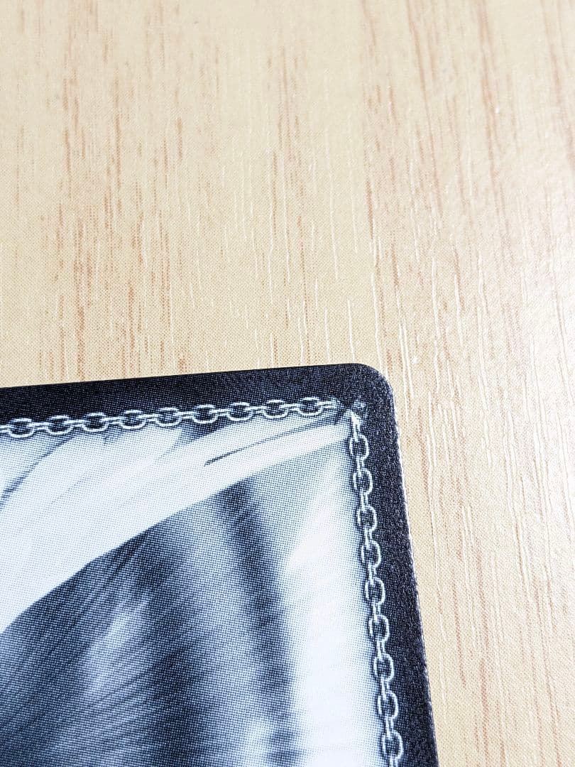 【BGS10】ヴァイス　ブルーアーカイブ　小鳥遊ホシノ　サインsp