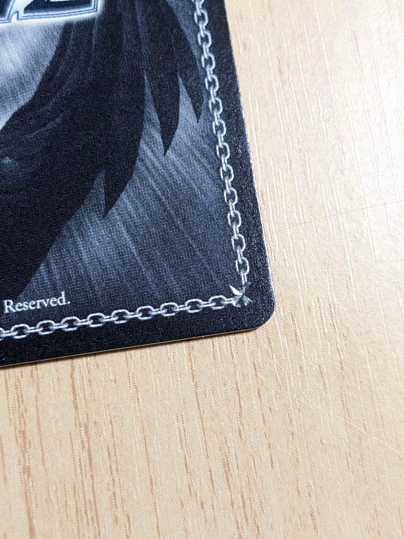 【BGS10】ヴァイス　ブルーアーカイブ　小鳥遊ホシノ　サインsp