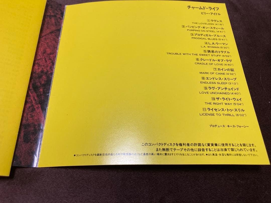 ビリー・アイドル　スティーヴ・スティーヴンス　サインCD billy idol