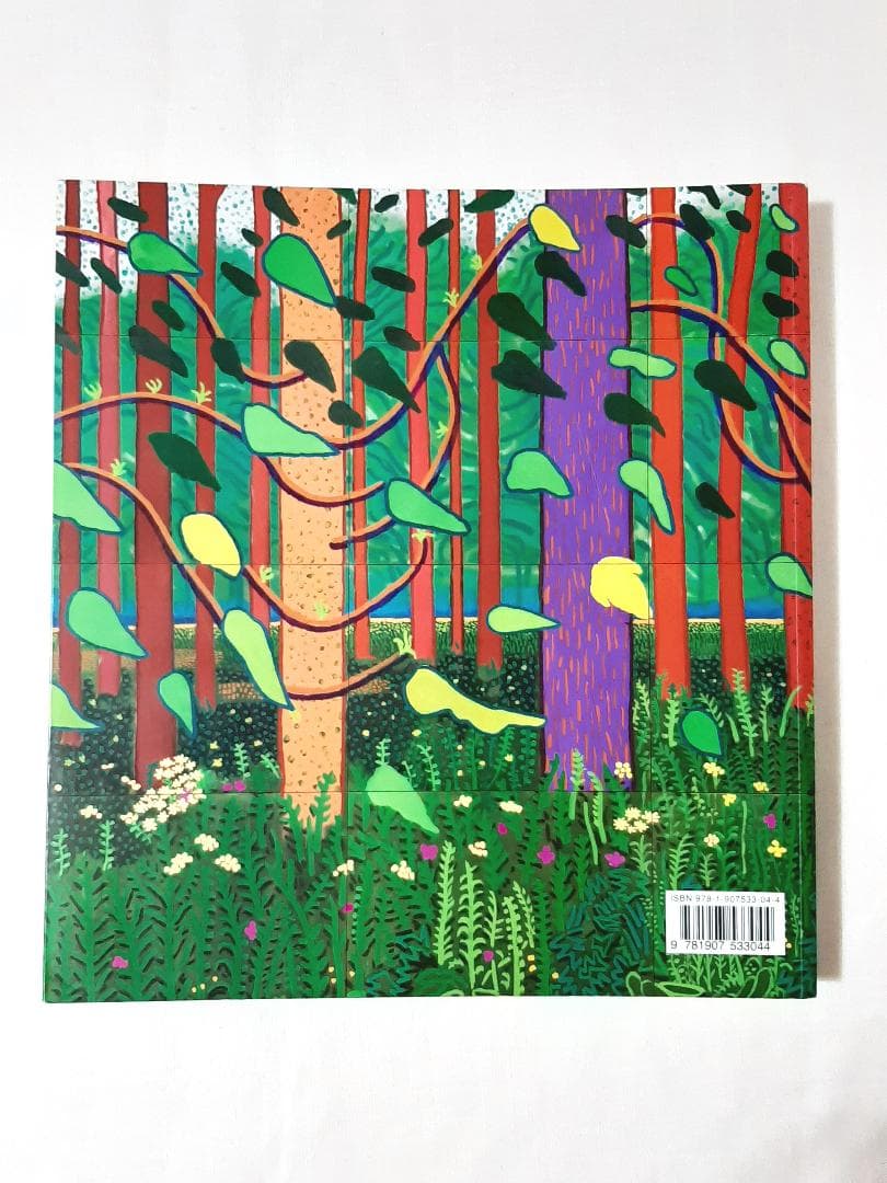 David Hockney A Bigger Picture ホックニー 英語版