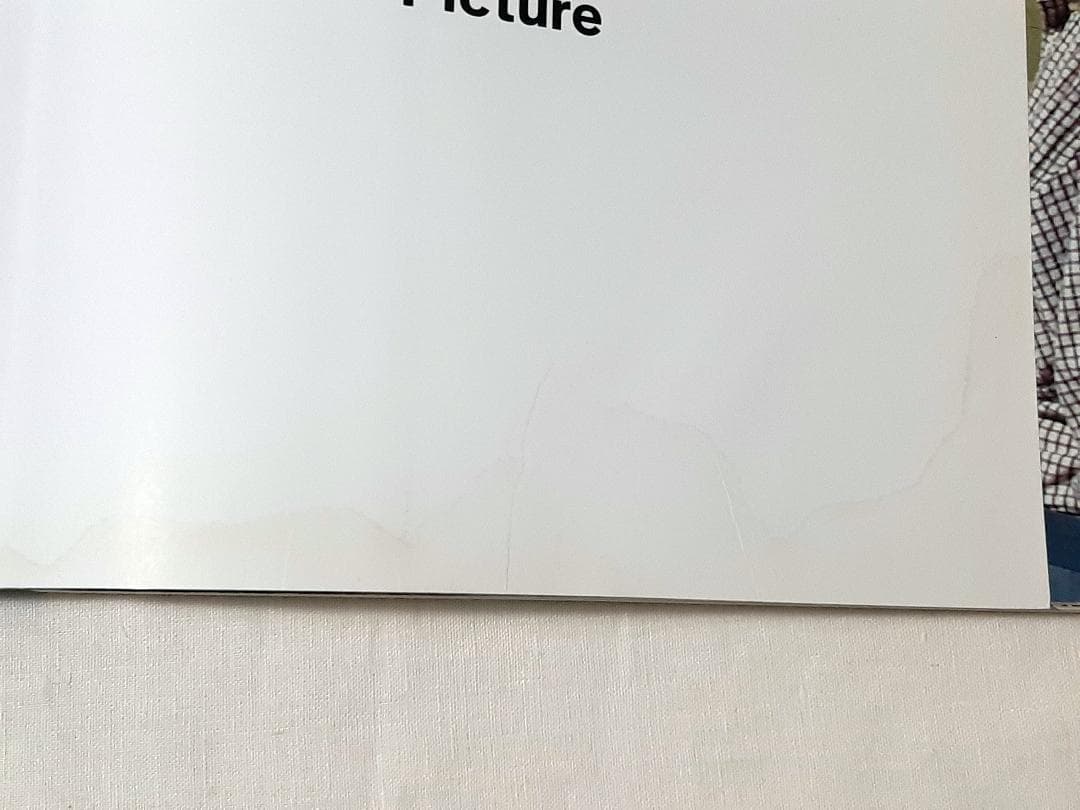 David Hockney A Bigger Picture ホックニー 英語版