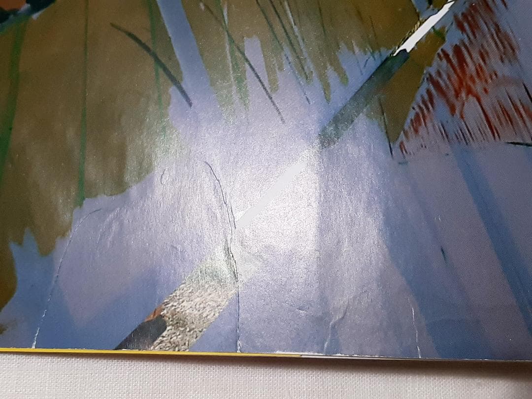 David Hockney A Bigger Picture ホックニー 英語版