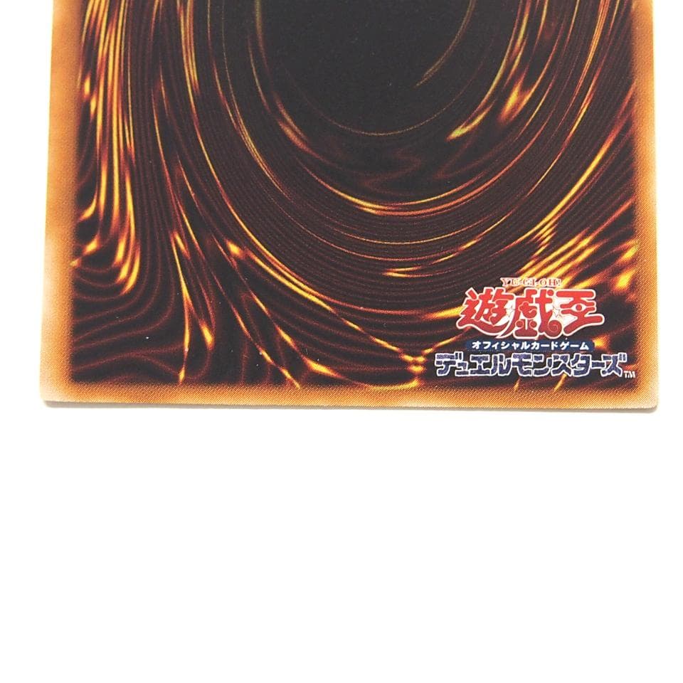 遊戯王 真紅眼の闇竜 レリーフ