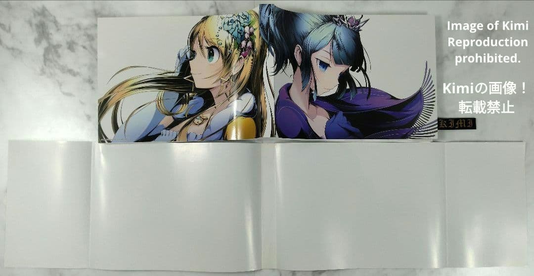 ディバインゲート OFFICIAL ART WORKS 本 2015 初版 画集