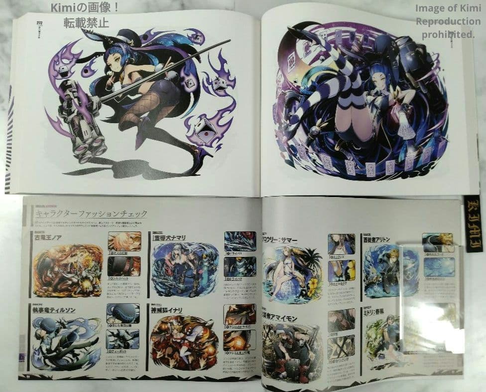 ディバインゲート OFFICIAL ART WORKS 本 2015 初版 画集