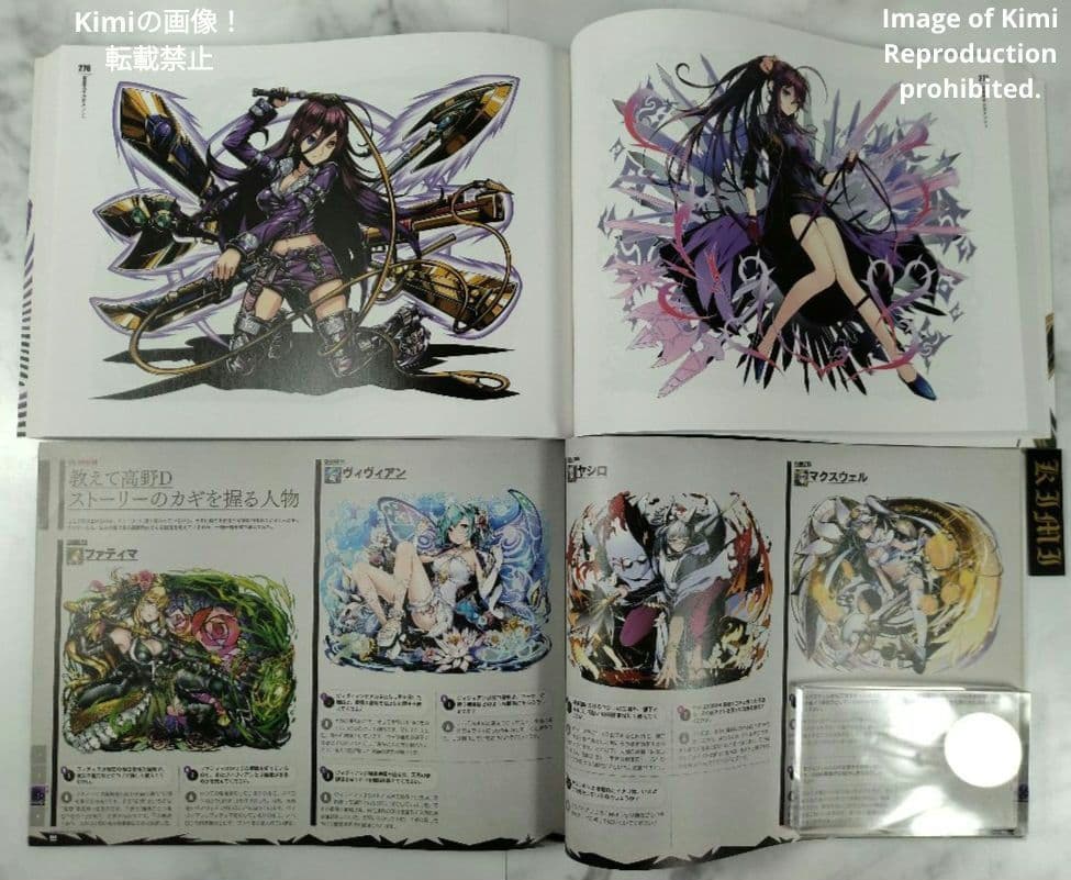 ディバインゲート OFFICIAL ART WORKS 本 2015 初版 画集