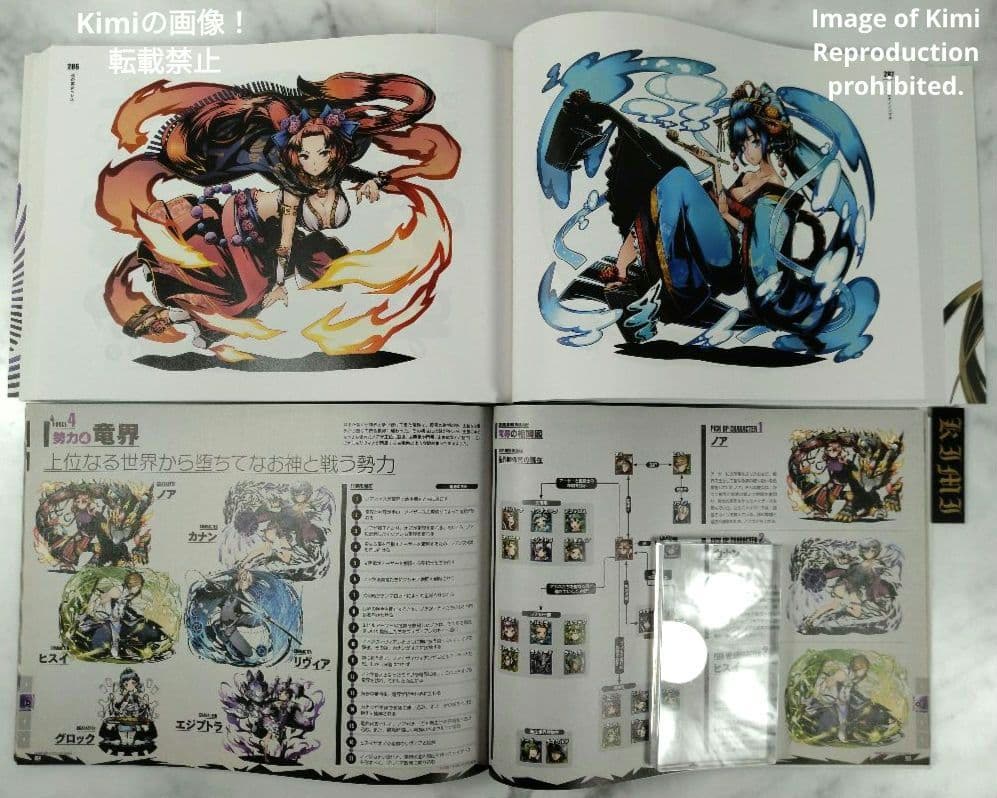 ディバインゲート OFFICIAL ART WORKS 本 2015 初版 画集